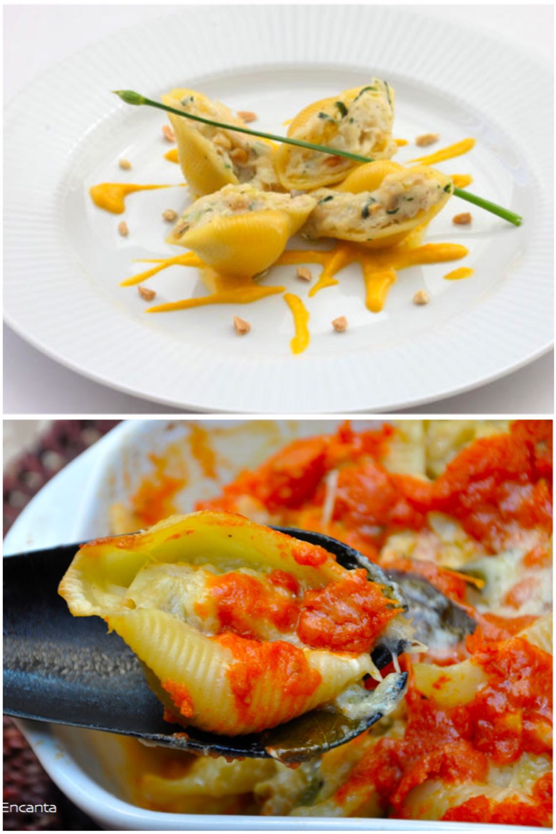 Conchigliones de bacalhau ao molho sugo