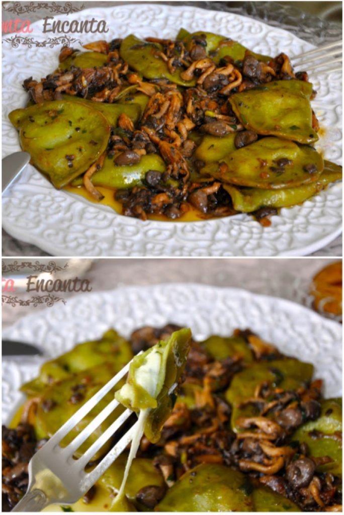 Molho Shimeji com Agnolotti de muzzarela de búfala Monta Encanta