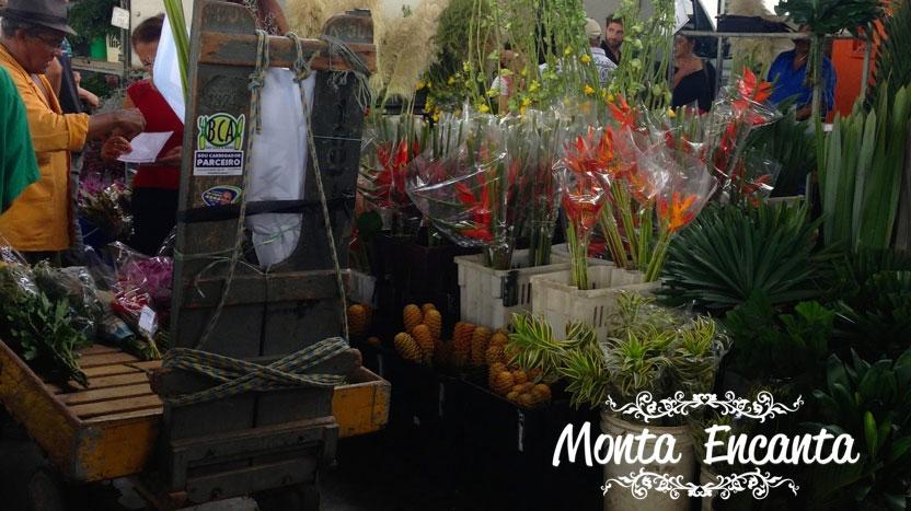 Feira das Flores Ceagesp em São Paulo - Monta Encanta