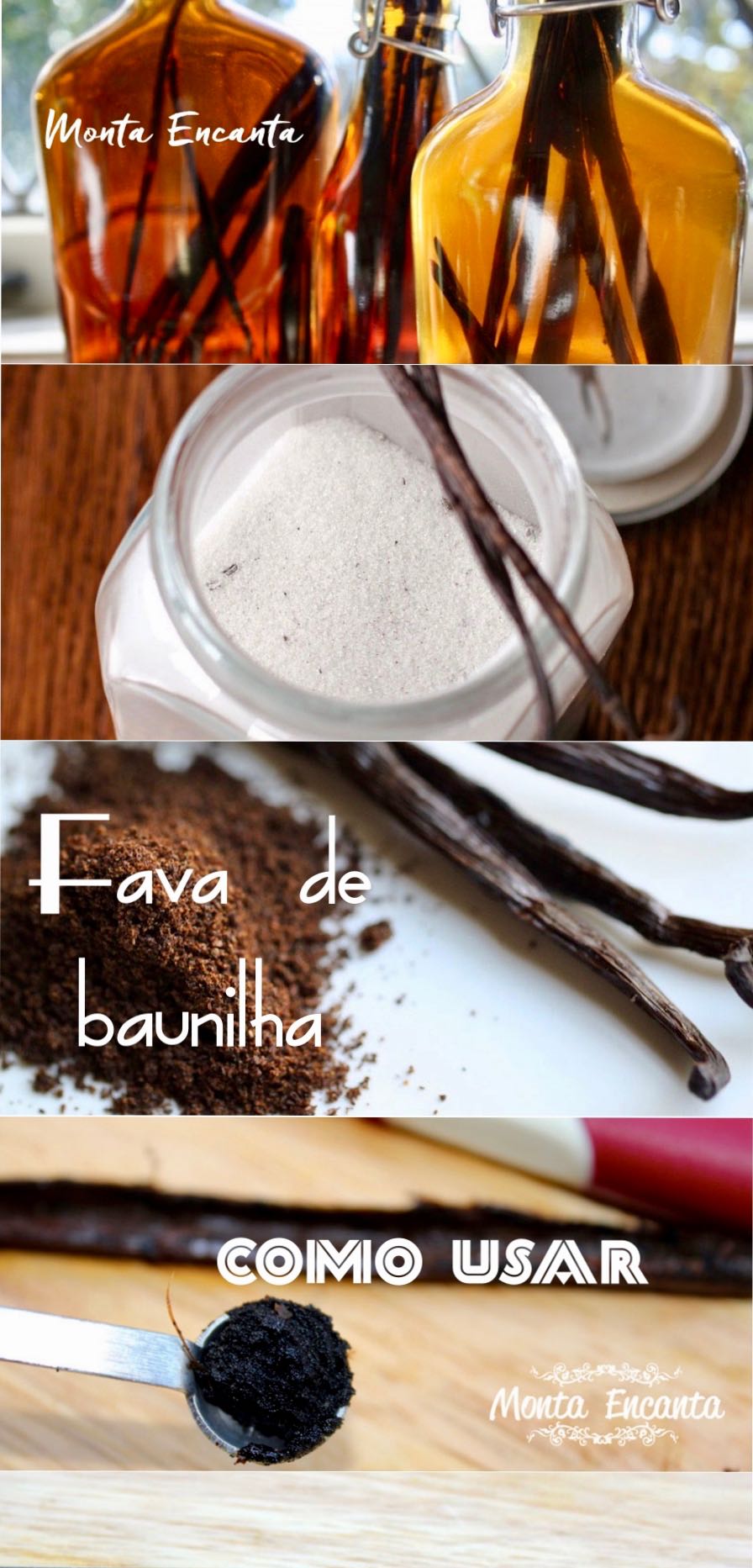 fava da baunilha