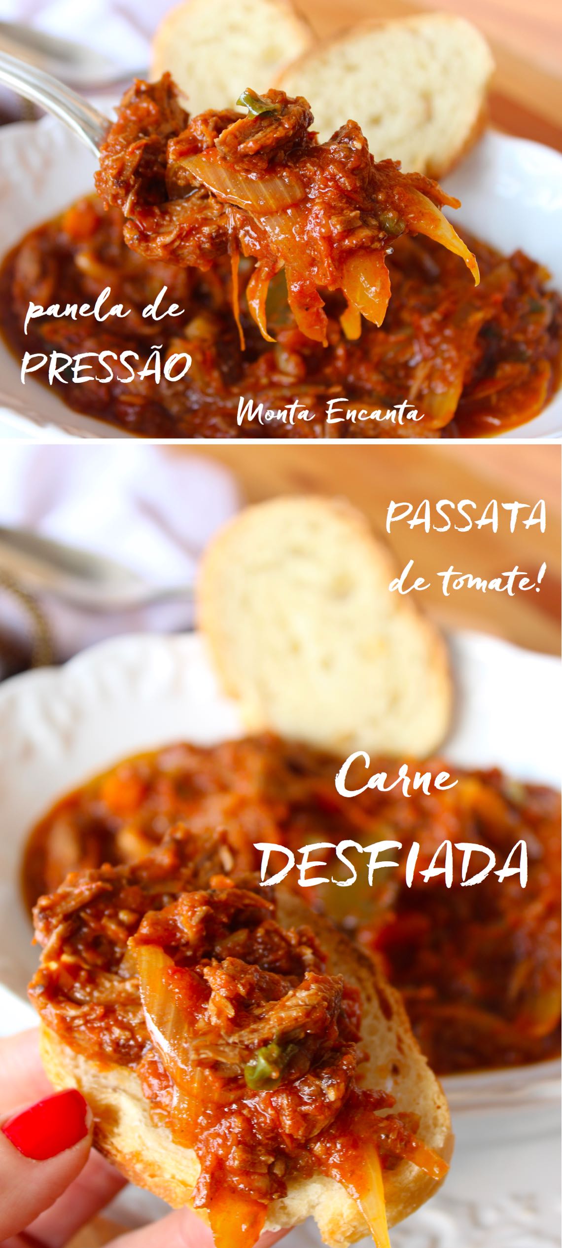 Carne Desfiada, com cebola e passata de tomate!