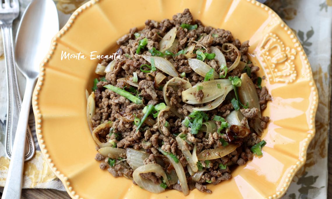 carne moída acebolada com shoyo