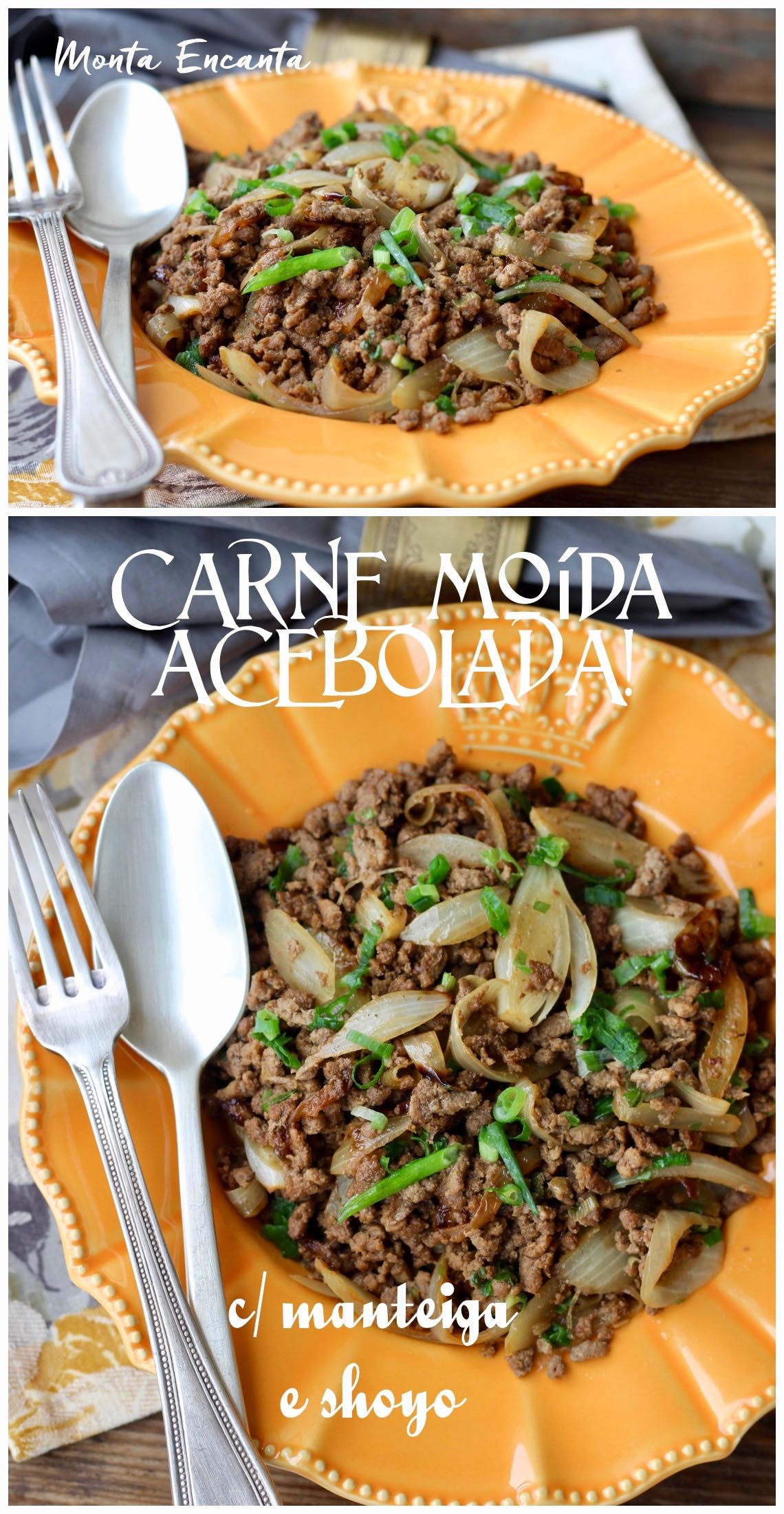 carne moida acebolada