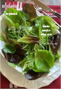 salada orgânica