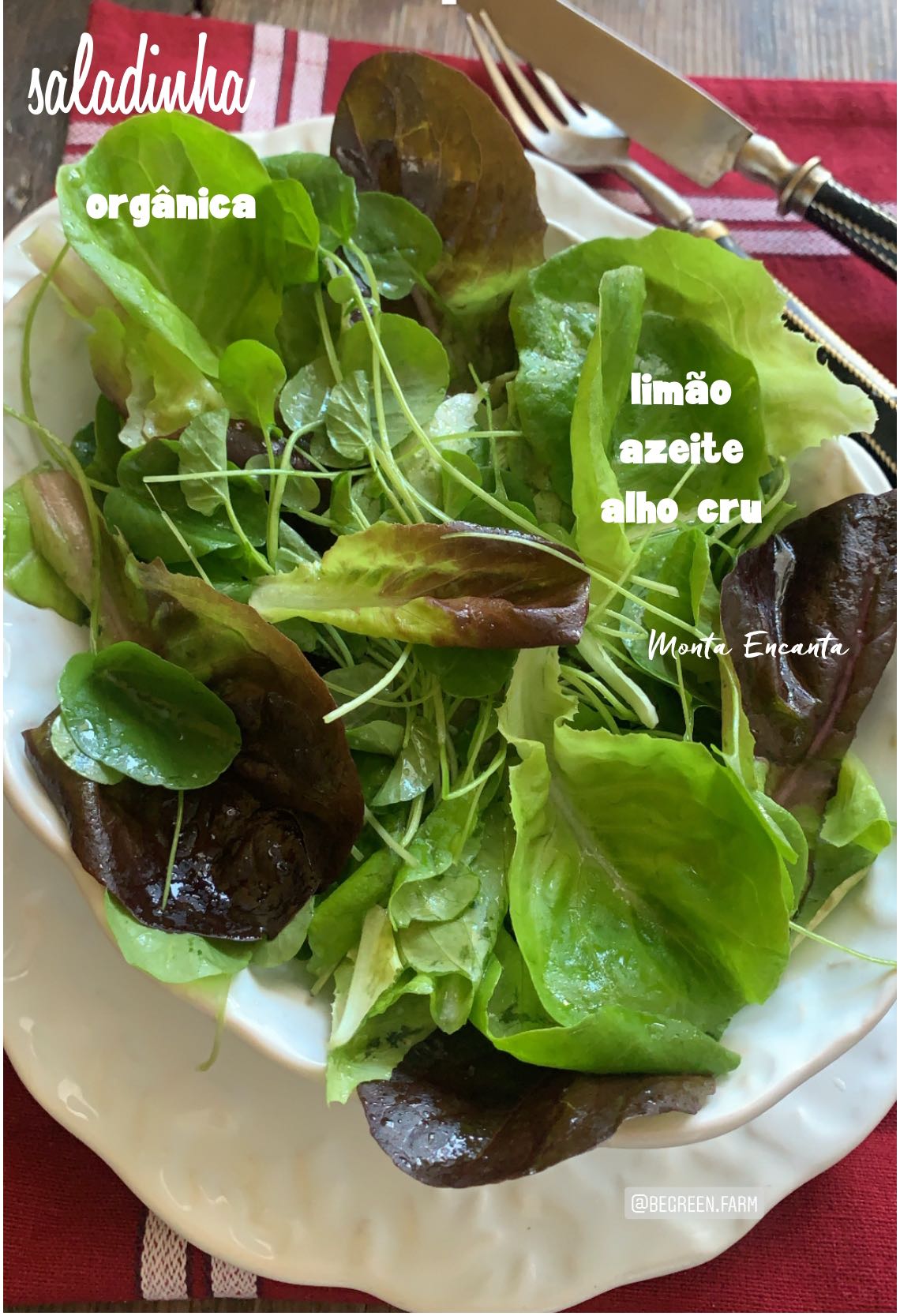 salada orgânica